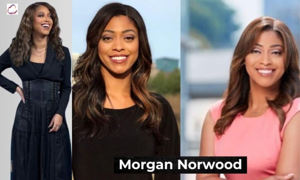 Morgan Norwood and Bikini Searches